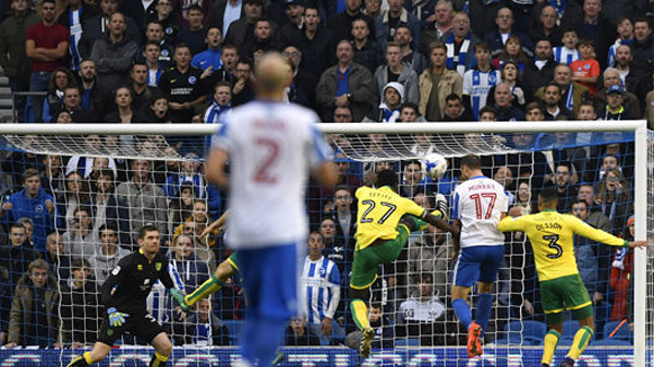 Glenn Murray scores for Brighton in their 5-0 win over Norwich City in October 2016
