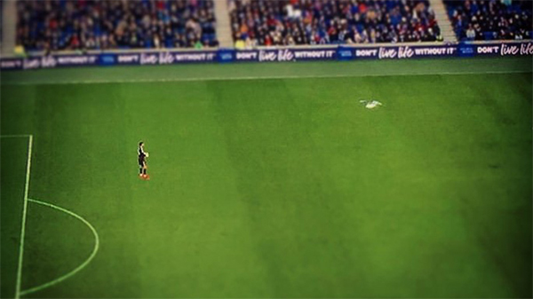 Ben Foster playing for Watford against Brighton 