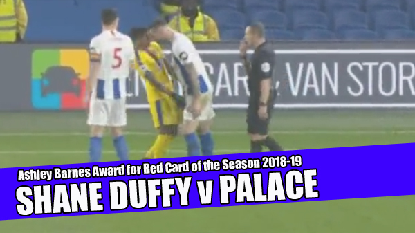 Shane Duffy gets sent off against Crystal Palace playing for Brighton in December 2018