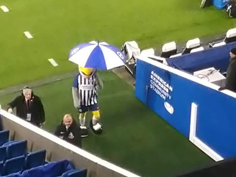 Brighton mascot Gully holds an umbrella at the Amex Stadium