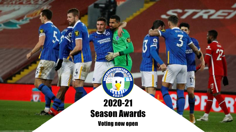 Voting is now open in the WeAreBrighton.com Brighton & Hove Albion 2020-21 Season Awards