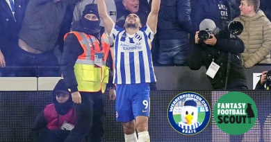 Brighton striker Neal Maupay provides a value-for-money FPL forward option for managers to then invest more money in defence