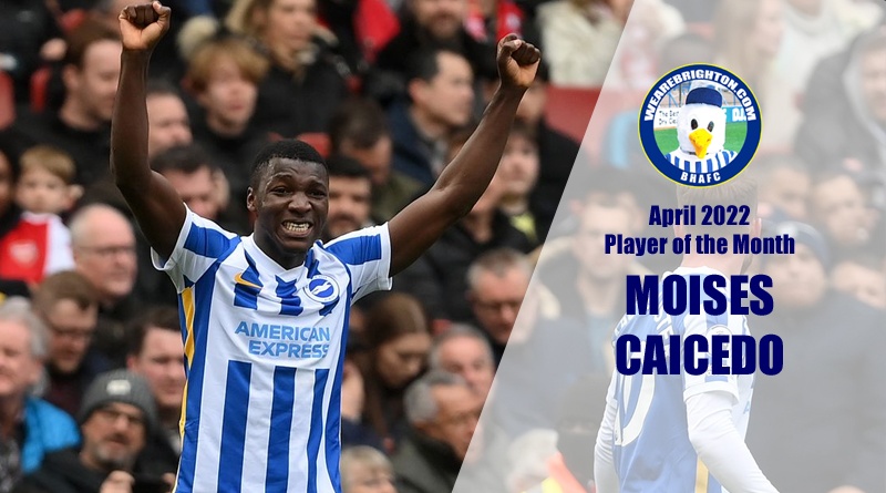 Moises Caicedo has been voted as Brighton Player of the Month for April 2022