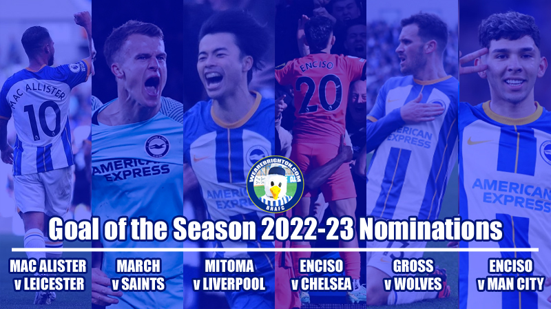 The nominations for Goal of the Season in the WAB Brighton 2022-23 Awards