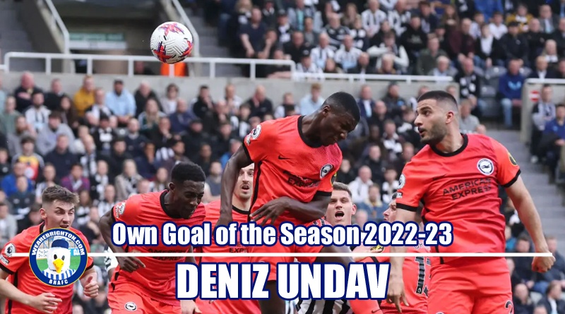 Deniz Undav has won WAB Brighton Goal of the Season 2022-23 for his stunning header against Newcastle United