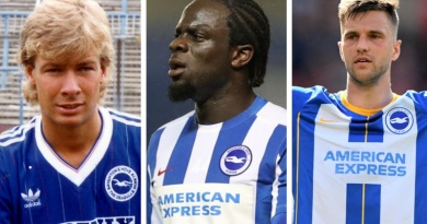 Brighton have had some excellent Dutch players play for them through the years
