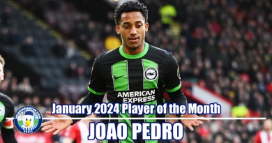 Joao Pedro has won WAB Brighton January 2024 Player of the Month