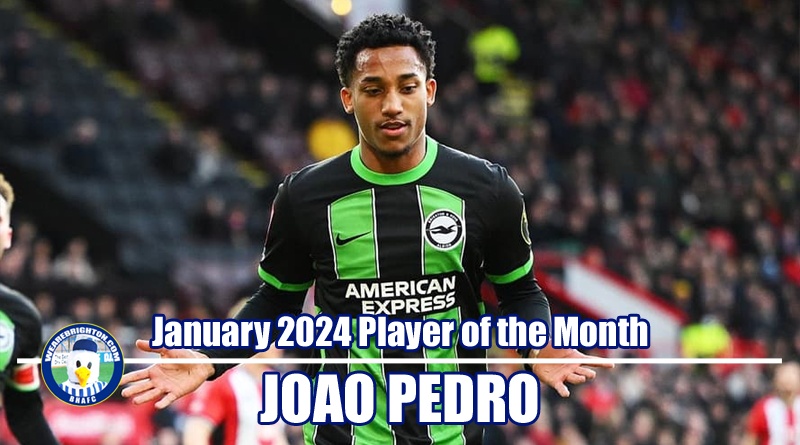 Joao Pedro has won WAB Brighton January 2024 Player of the Month