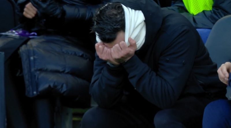 Roberto De Zerbi was left despondent after Brighton lost 3-0 to Fulham in March of the 2023-24 season