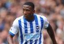 Brighton FPL Gameweek 6: Is Estupinan worth investment?