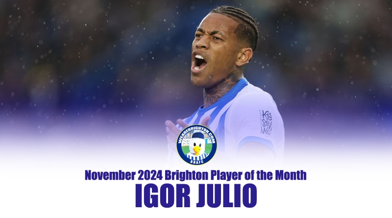 Igor has been voted WAB Brighton Player of the Month for November 2024