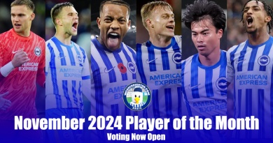 The nominations for the WAB November 2024 Brighton Player of the Month