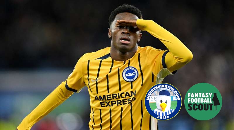 Simon Adingra could be a good pick for FPL managers looking replace Joao Pedro who is an injury doubt for Brighton