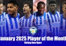 The nominations for the WAB January 2025 Brighton Player of the Month