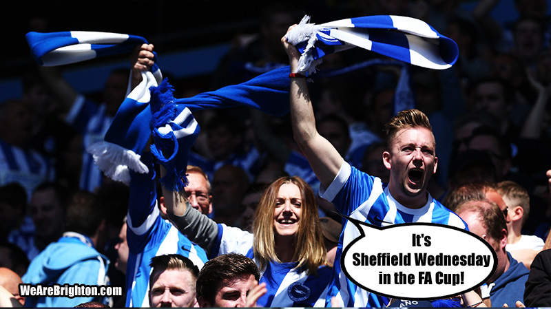 Preview of Brighton v Sheffield Wednesday in the FA Cup,which many Albion fans will consider to be their cup final