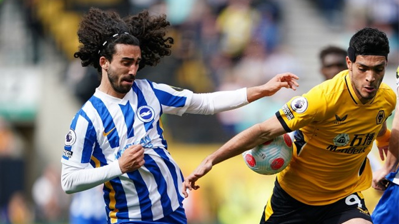 Marc Cucurella continued his excellent form in his debut Premier League season to top the Albion player ratings in Wolves 0-3 Brighton