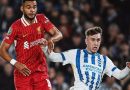 Brajan Gruda topped the Brighton 2-3 Liverpool player ratings on his full debut for the Albion