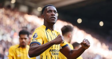 Danny Welbeck celebrates scoring the only goal of the game in Newcastle 0-1 Brighton