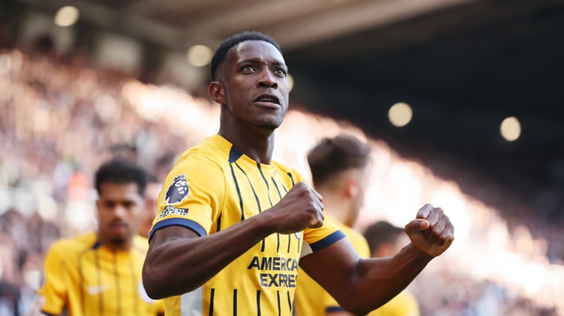 Danny Welbeck celebrates scoring the only goal of the game in Newcastle 0-1 Brighton