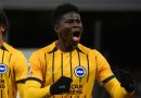 Carlos Baleba scored and topped the player ratings as Brighton lost 3-1 away at Fulham