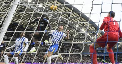 Brighton were well beaten by arch rivals Crystal Palace 1-3 at the Amex