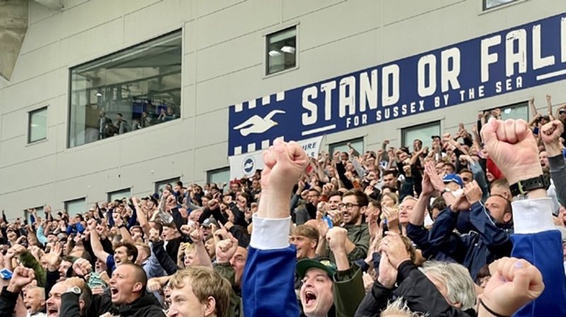 Safe standing is unlikely be introduced at the Amex Stadium, home of Brighton & Hove Albion