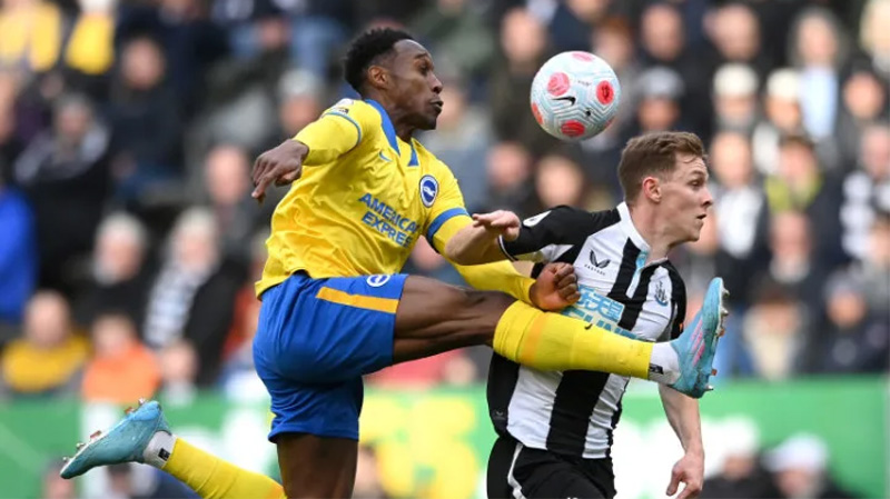 Danny Welbeck in action for Brighton against Newcastle United