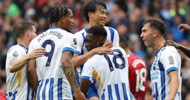 The 2024-25 Brighton squad is the strongest in Albion history