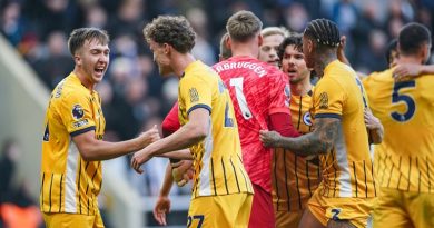 Brighton players celebrate their battling 1-0 win over Newcastle at St James' Park