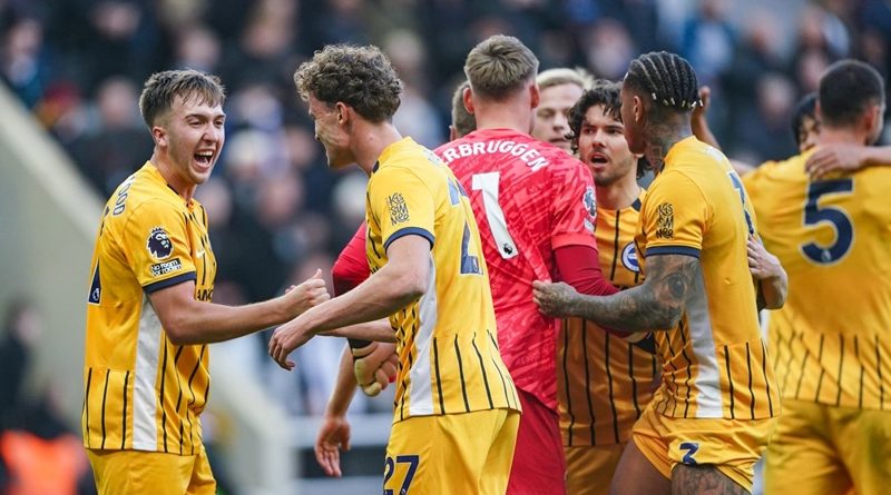 Brighton players celebrate their battling 1-0 win over Newcastle at St James' Park