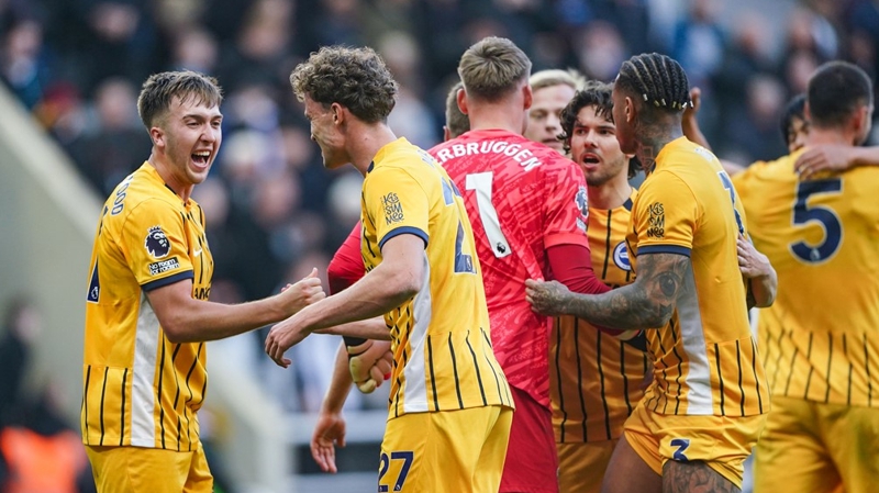 Brighton players celebrate their battling 1-0 win over Newcastle at St James' Park