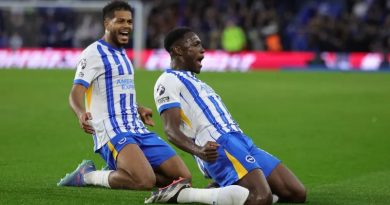 Danny Welbeck scored the third Brighton goal to complete a famous comeback over Spurs