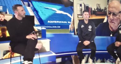 Brighton held an online question and answer session for fans with Fabian Hurzeler and Dario Vidosic