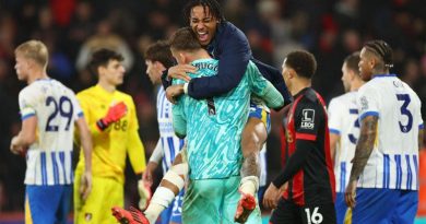 Joao Pedro and Bart Verbruggen celebrate Brighton winning 2-1 at Bournemouth