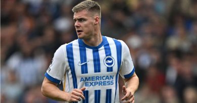 Evan Ferguson is one of several young players who could leave Brighton on loan in the January transfer window