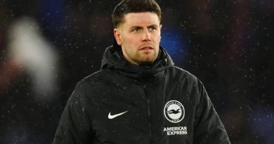 Fabian Hurzeler has made an impressive start to life as Brighton manager