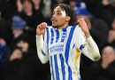 Joao Pedro celebrates scoring for Brighton against Arsenal