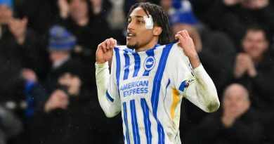 Joao Pedro celebrates scoring for Brighton against Arsenal