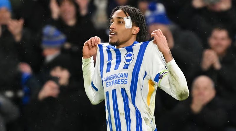 Joao Pedro celebrates scoring for Brighton against Arsenal