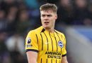 Evan Ferguson has joined West Ham on loan from Brighton until the end of the season