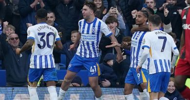 Brighton struck a winner in the final seconds to beat Fulham 2-1 at the Amex